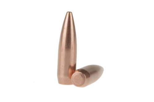 .308 168gn FMJ match.jpg
